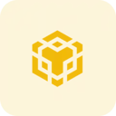 binance smart chain ico